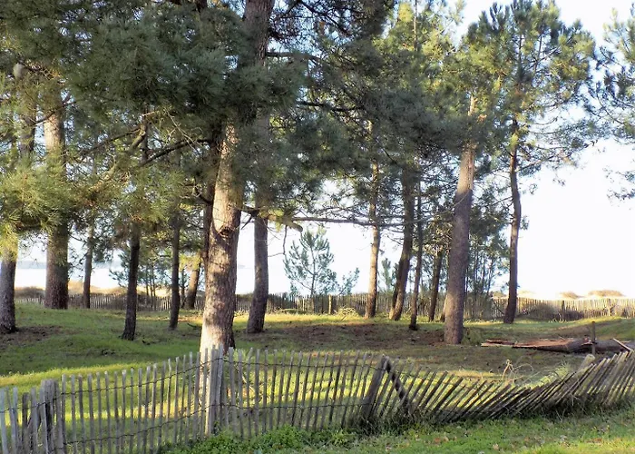 - 1er Etage Droit - 90m De La Apartment