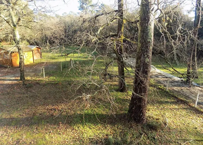 Apartment - 1er Etage Droit - 90m De La *